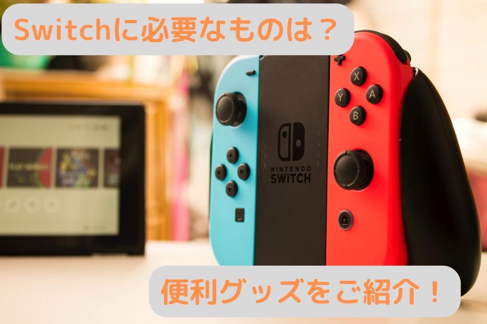 Switchをもっと快適に！必要なものと便利グッズをご紹介 | ゆるたまブログ